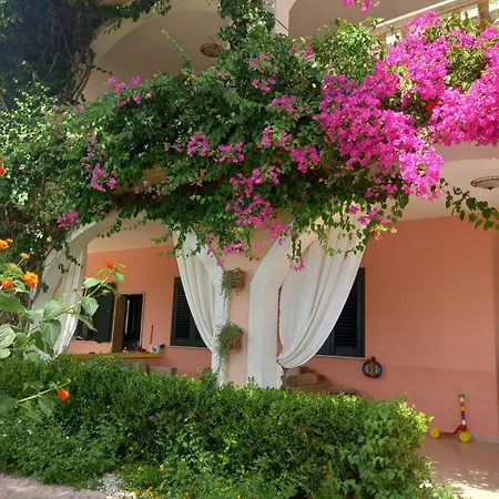 Stella Marina * Lendinuso