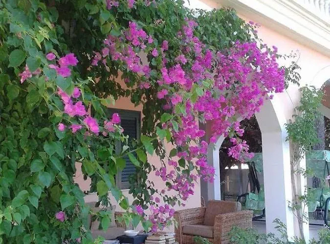 Appartamento Stella Marina *